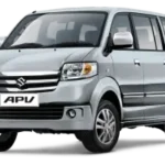 Silky Silver Metallic