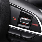 Cruise Control (Cruise & GX)