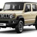 Metallic Chiffon Ivory 2 + Pearl Bluish Black 4