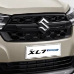 Garnish, Front Bumper Lower