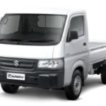 Suzuki Carry Pick Up